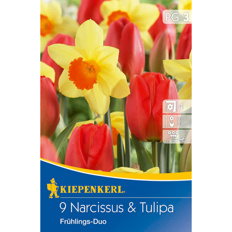 kiepenkerl frühlings duo nárcisz és tulipán virághagymák