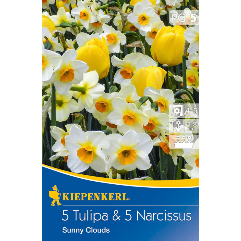 kiepenkerl sunny clouds mix vegyes tulipán és nárcisz virághagymák