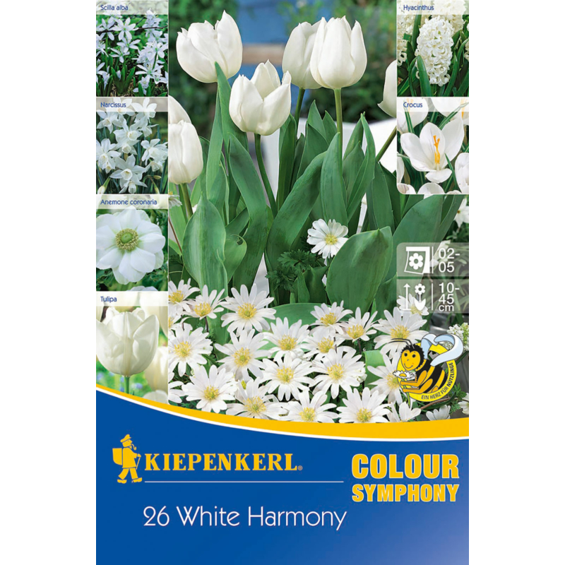 kiepenkerl white harmony fehér virághagyma összeállítás