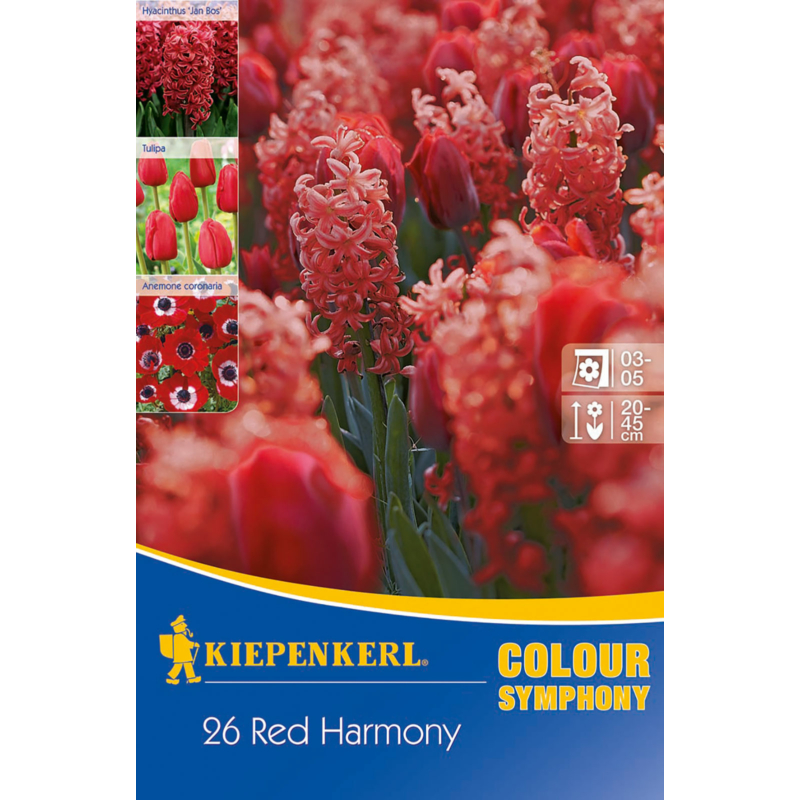 kiepenkerl red harmony piros vegyes virághagyma összeállítás