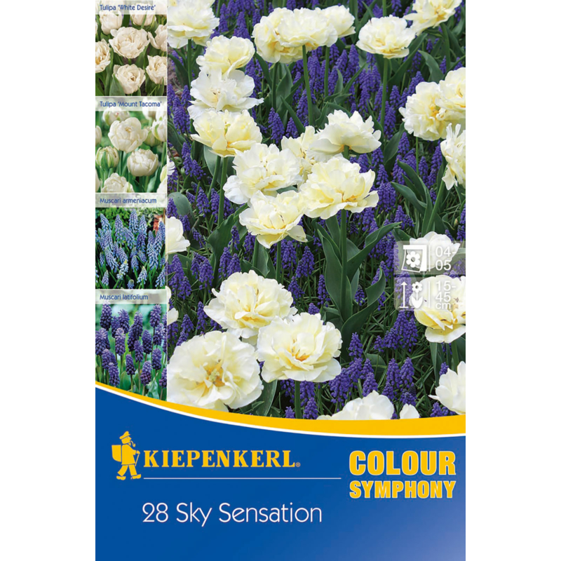 kiepenkerl sky sensation vegyes színű virághagyma összeállítás