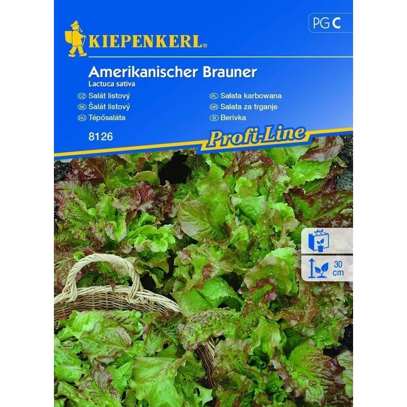 kiepenkerl tépősaláta vetőmag amerikanischer brauner