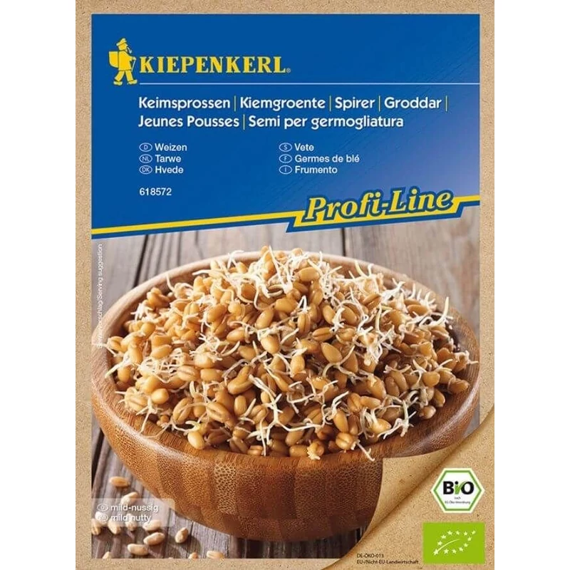 búza csíra bio vetőmag kiepenkerl