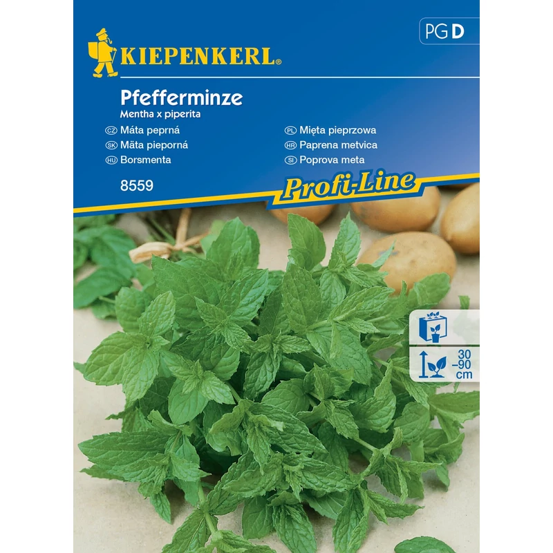 borsmenta vetőmag