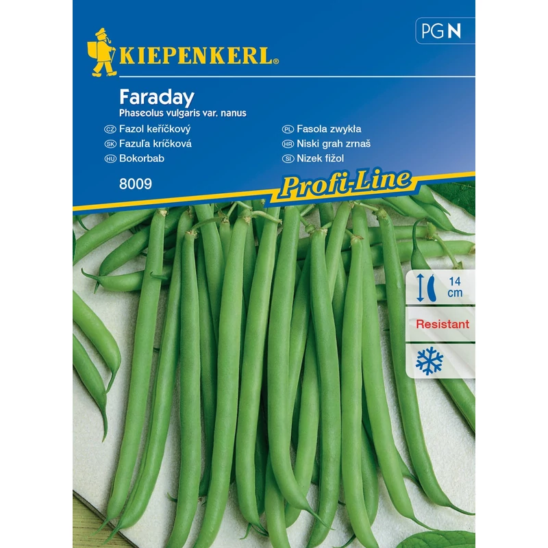 Kiepenkerl Faraday bokorbab vetőmag