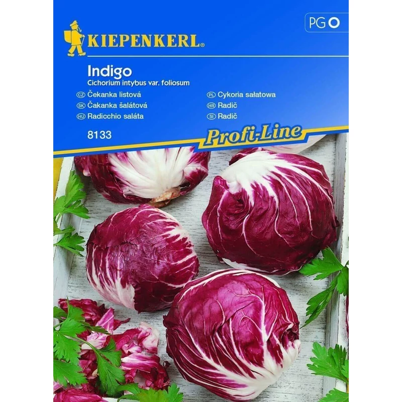kiepenkerl  indigo radicchio saláta vetőmag