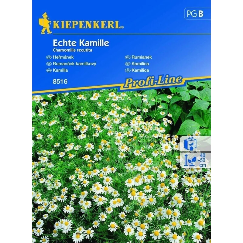 kamilla vetőmag