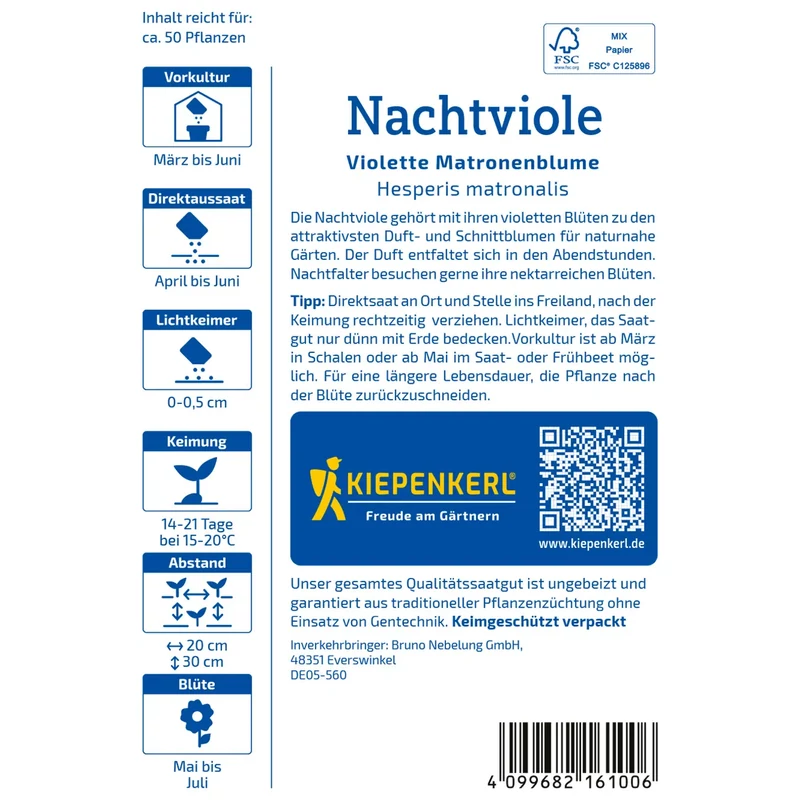 Kiepenkerl Nachtviole Hölgyestike vetőmag