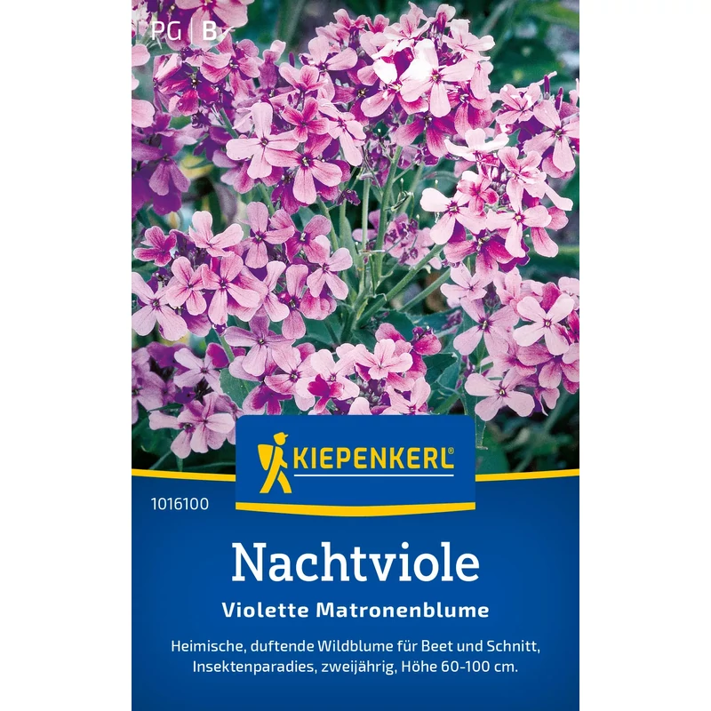 kiepenkerl nachtviole hölgyestike vetőmag