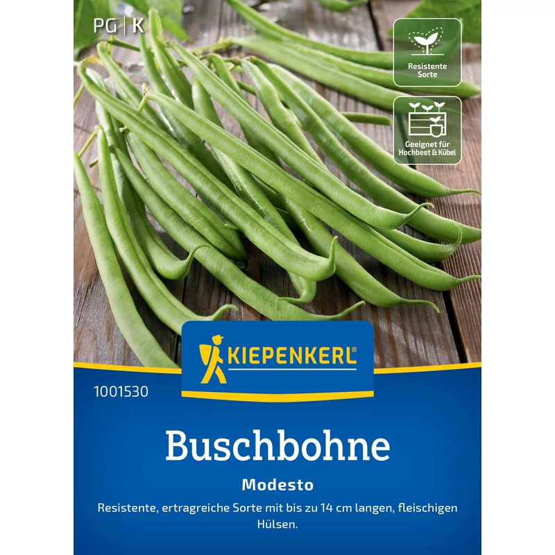 kiepenkerl modesto bokorbab vetőmag