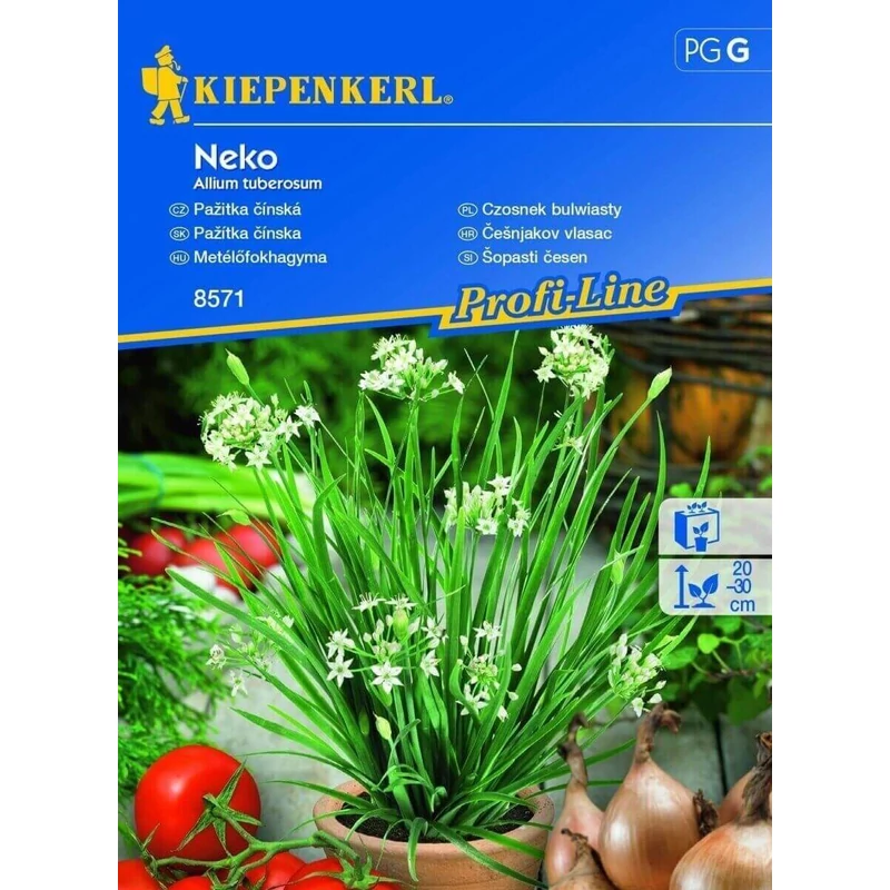 neko metélőfokhagyma vetőmag