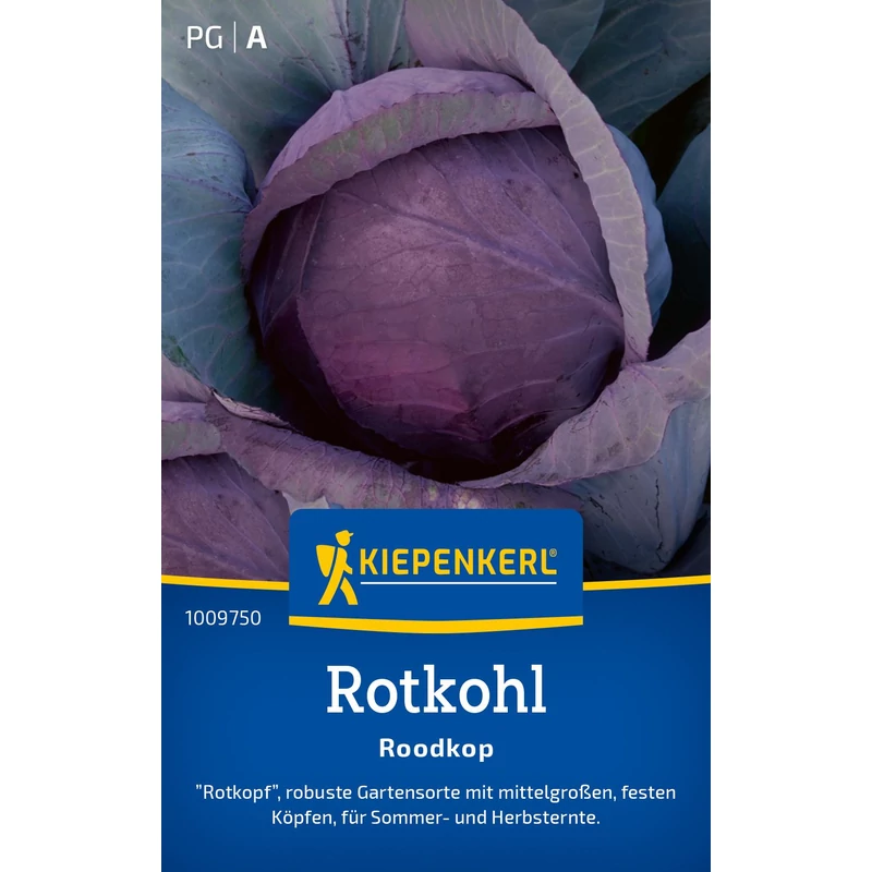 roodkop vöröskáposzta vetőmag