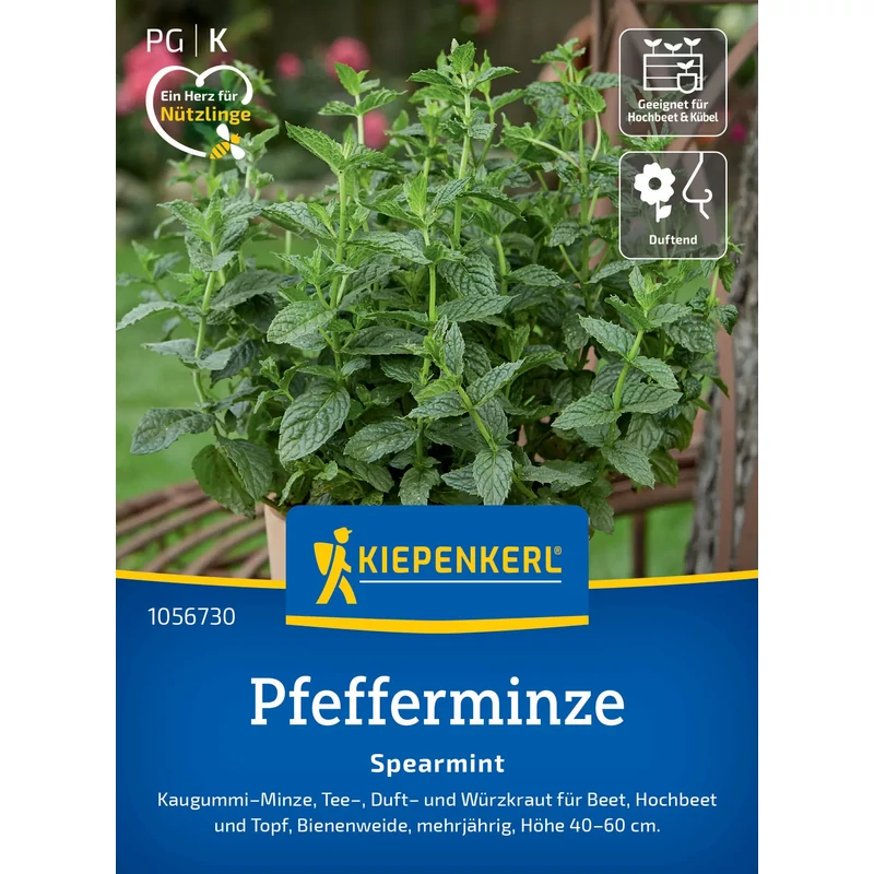kiepenkerl spearmint borsmenta vetőmag