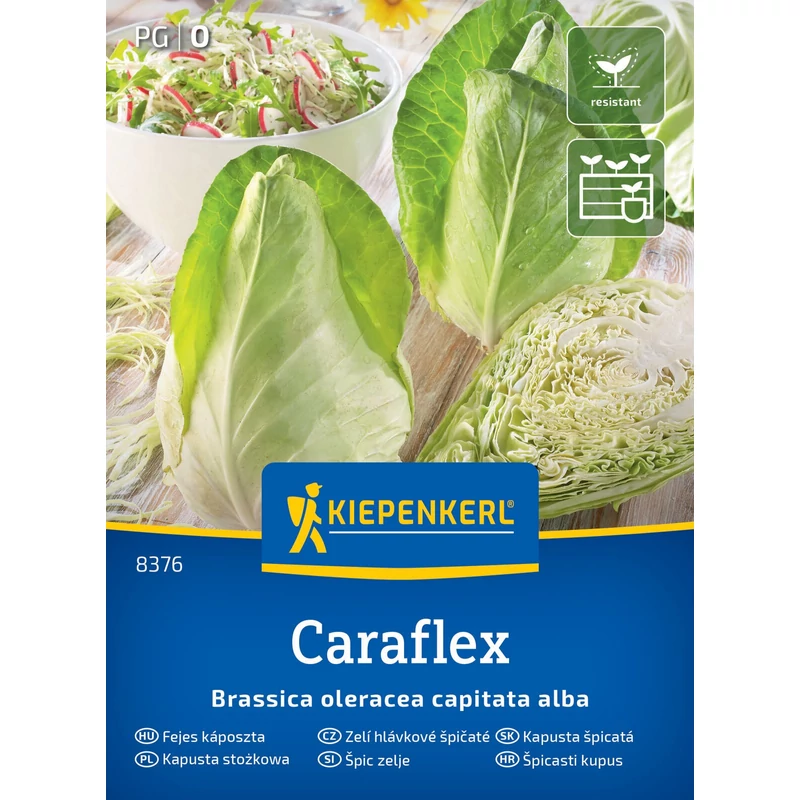 caraflex fejes káposzta vetőmag