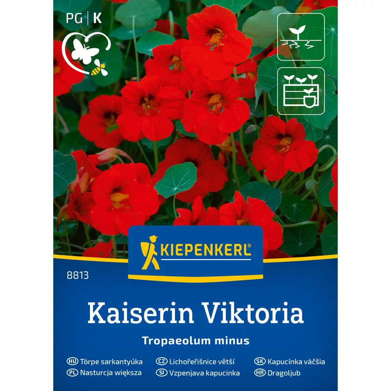 kaiserin victoria sarkantyúvirág vetőmag