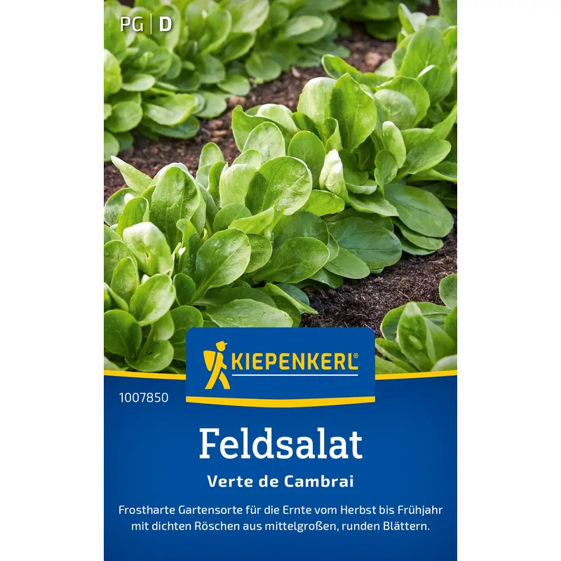 kiepenkerl madársaláta vetőmag verte de cambrai