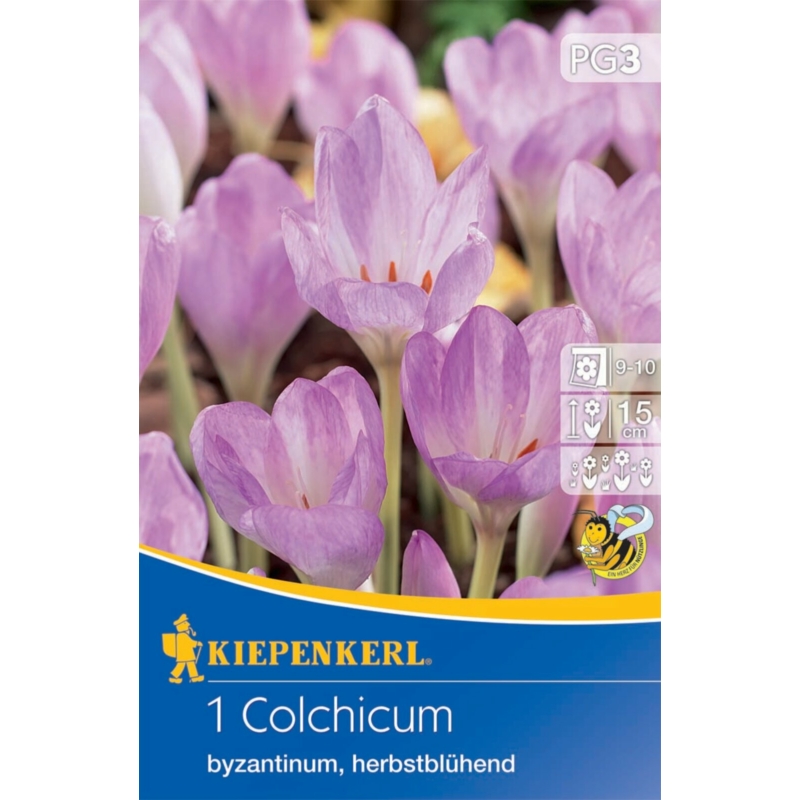 kiepenkerl colchicum byzanthinum kikerics virághagyma