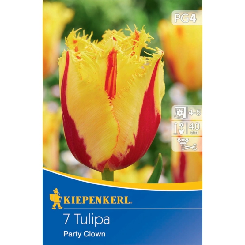 kiepenkerl party clown rojtos tulipán virághagymák
