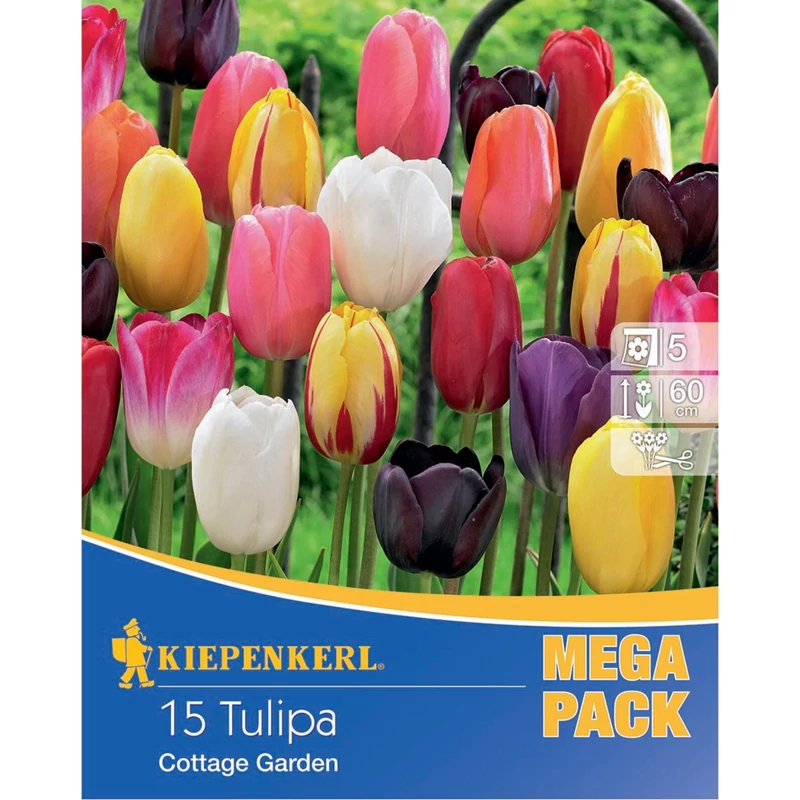 kiepenkerl cottage vegyes tulipán virághagymák Megapack