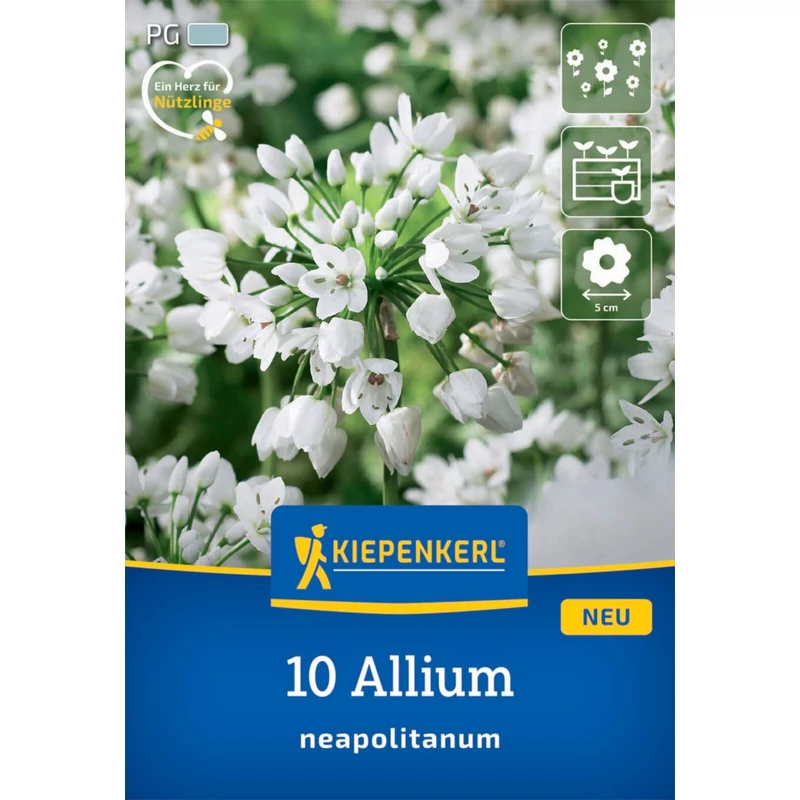 Kiepenkerl Allium neapolitanum díszhagyma virághagymák