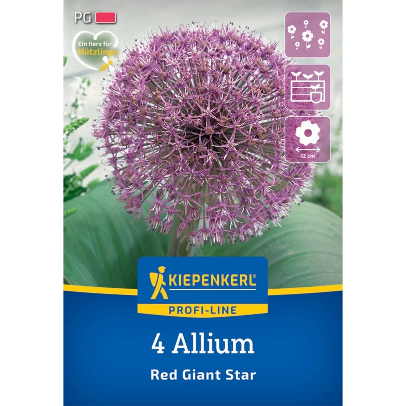 kiepenkerl red giant star díszhagyma virághagymák