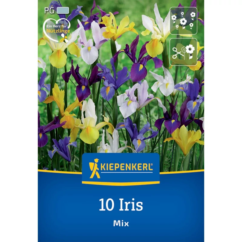  kiepenkerl iris hollandica mix vegyes írisz virághagymák
