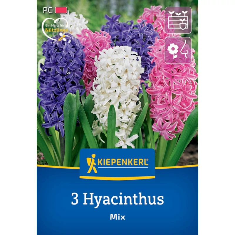 Kiepenkerl Mix jácint virághagyma színkeverék