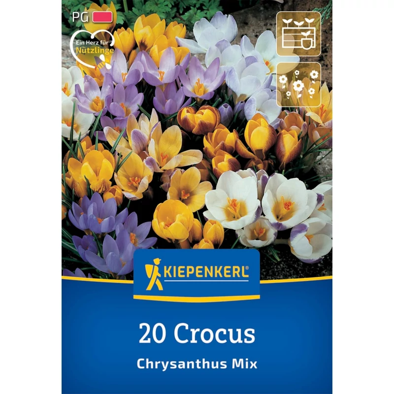 kiepenkerl crocus chrysantus mix vegyes krókusz virághagyma