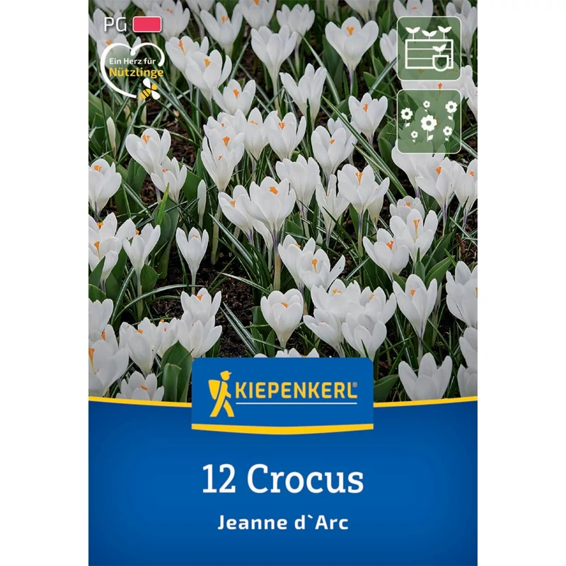 kiepenkerl nagyvirágú krókusz virághagymák Jeanne d'Arc