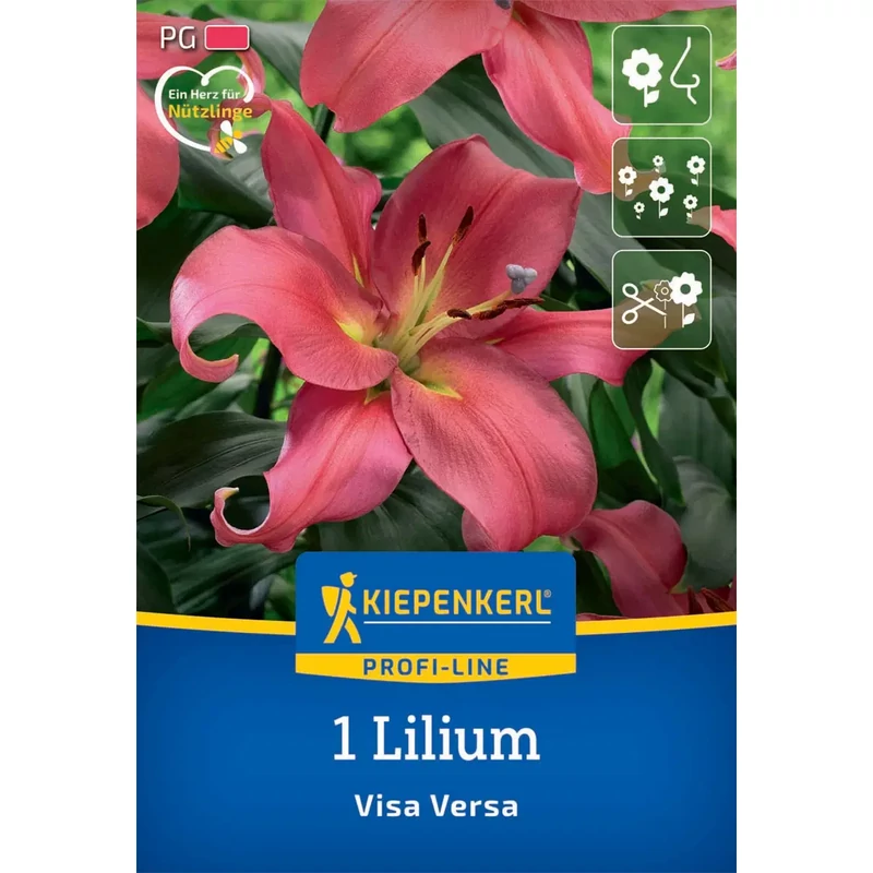 kiepenkerl visa versa liliom virághagyma