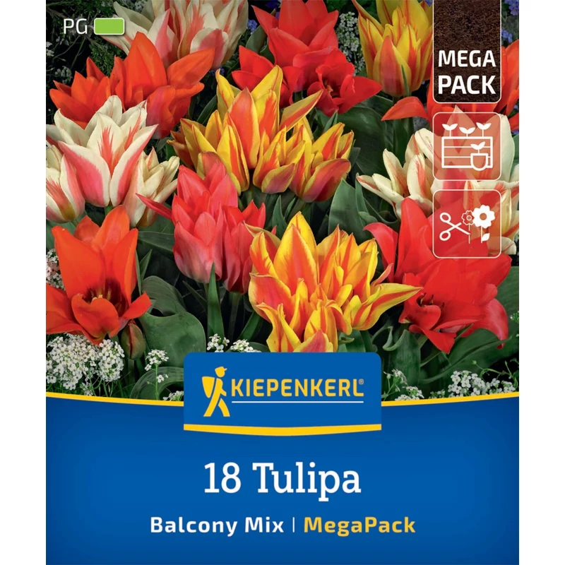 kiepenkerl balkonzauber mix vegyes tulipán virághagymák megapack