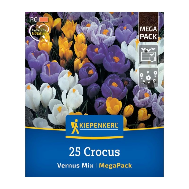 kiepenkerl vegyes nagyvirágú krókusz virághagymák mega pack