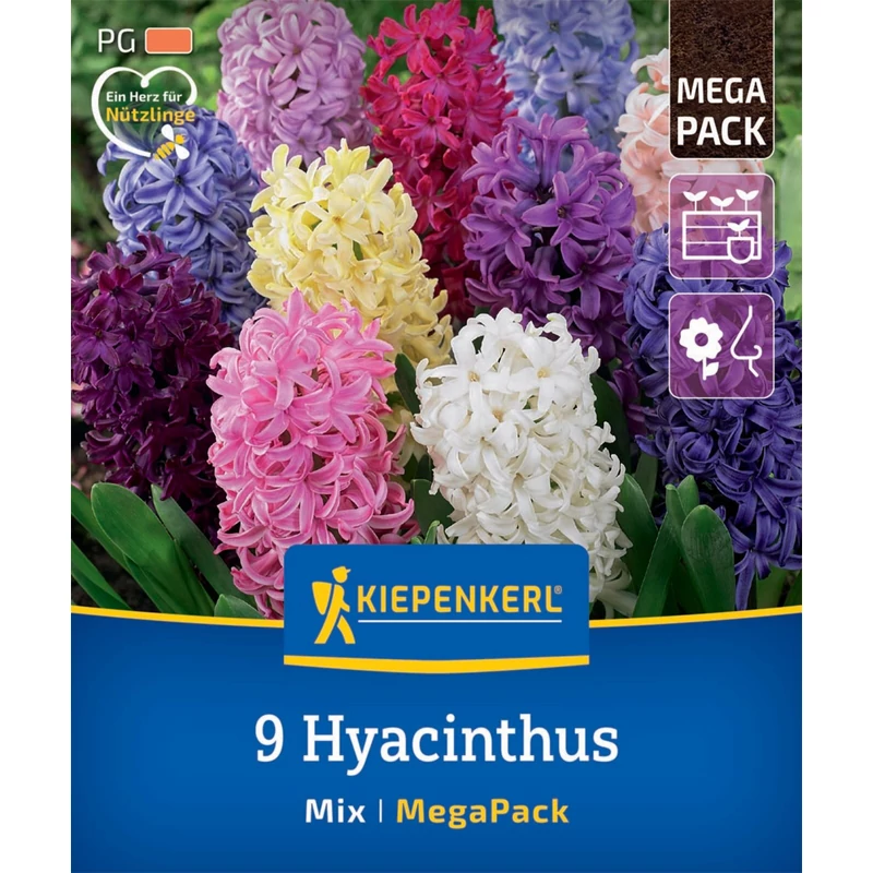 kiepenkerl vegyes jácint virághagymák megapack