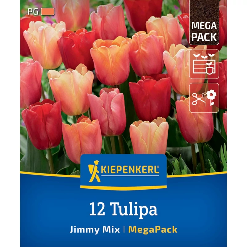 kiepenkerl jimmy mix tulipán virághagymák megapack