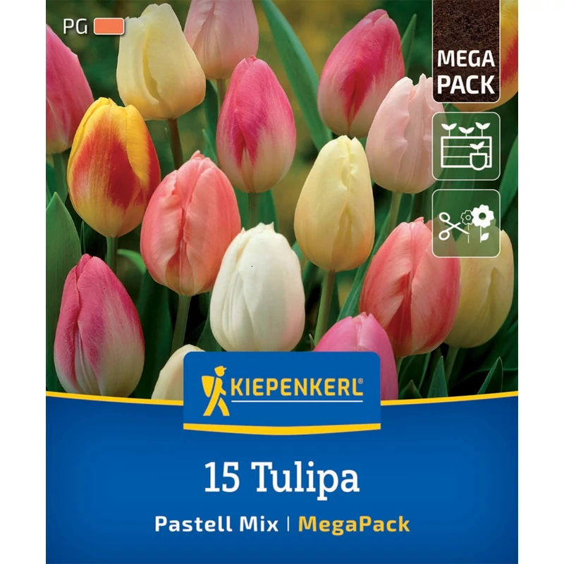 kiepenkerl pastell-mix vegyes tulipán virághagyma