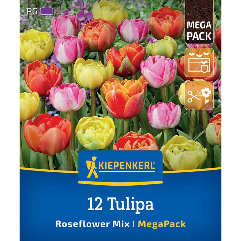 kiepenkerl roseflower-mix vegyes tulipán virághagymák megapack