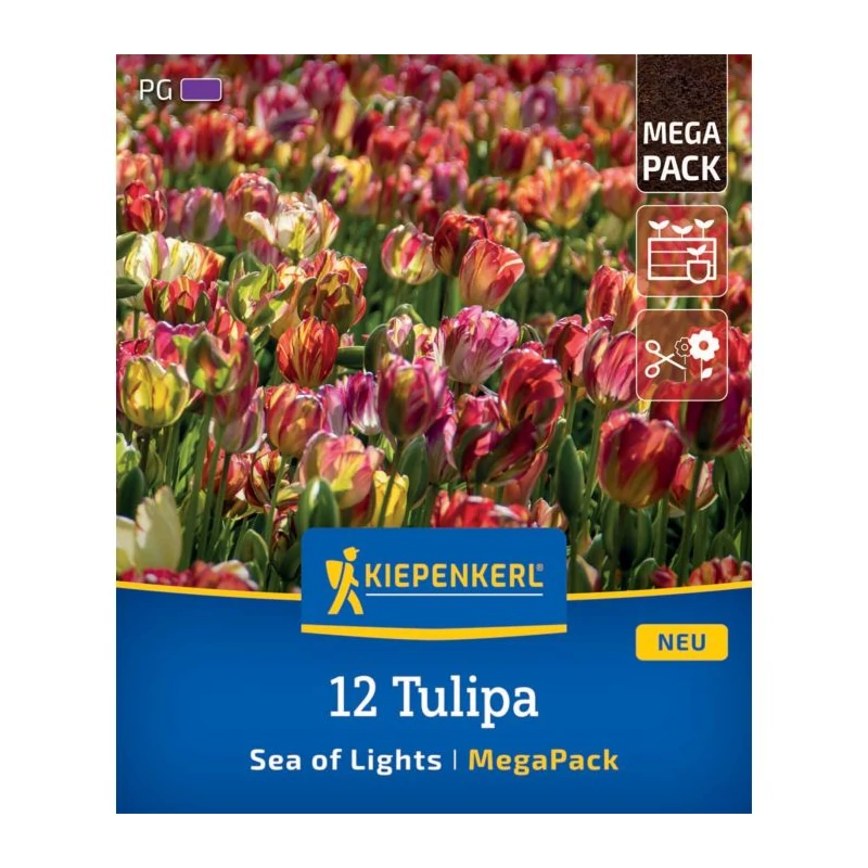 kiepenkerl sea-of-lights-vegyes tulipán virághagymák megapack