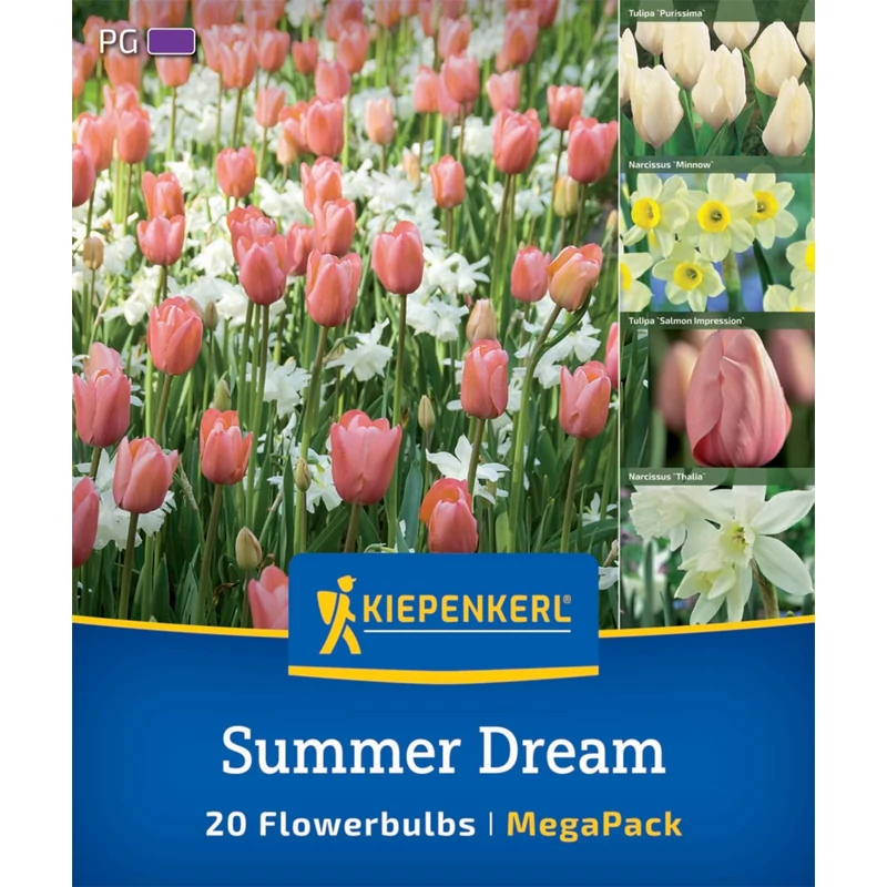kiepenkerl summer dreams virághagyma összeállítás