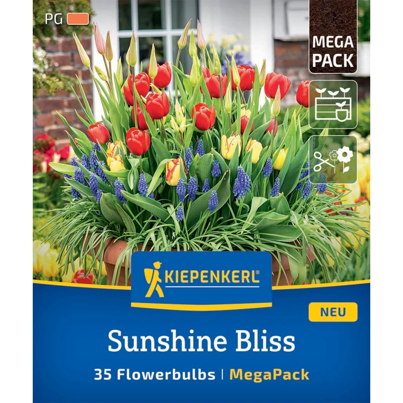 kiepenkerl sunshine bliss vegyes virághagyma megapack