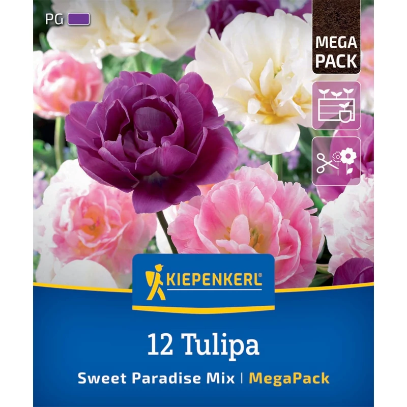 Kiepenkerl Sweet paradise virághagyma mega pack