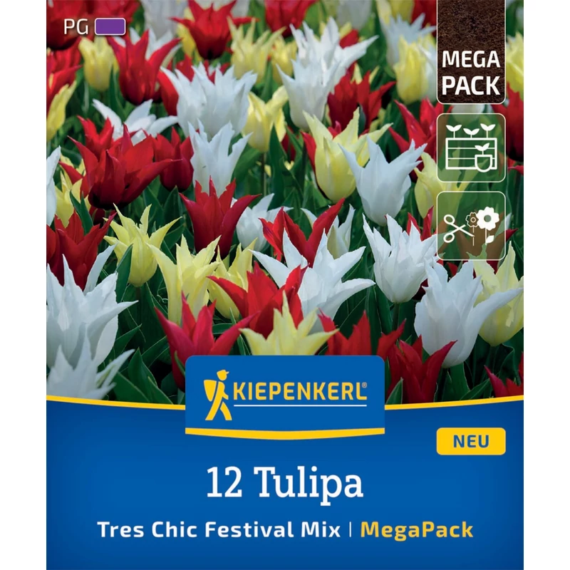 kiepenkerl tres-chic tulipán virághagymák megapack