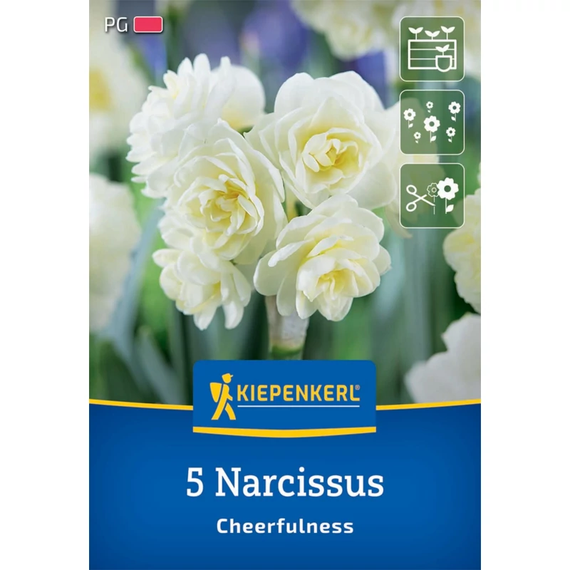 kiepenkerl cheerfulness teltvirágú nárcisz virághagymák