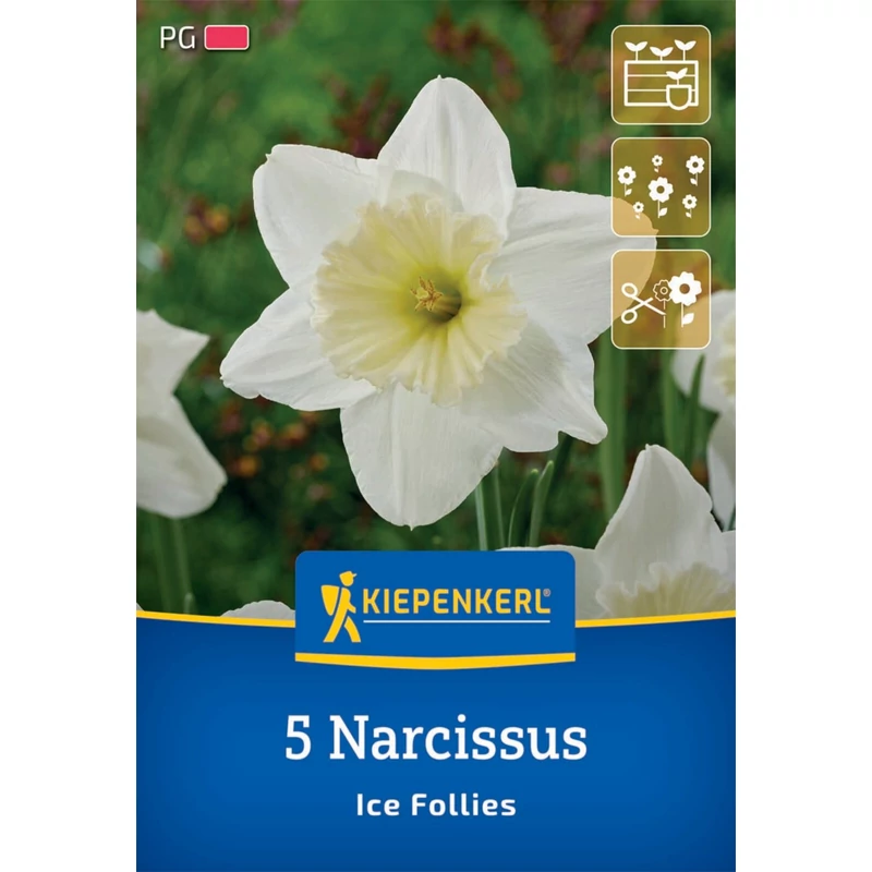 kiepenkerl nagykoronájú ice follies nárcisz virághagymák
