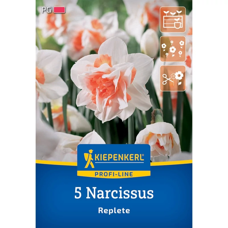 kiepenkerl narcissus replete teltvirágú nárcisz virághagymák