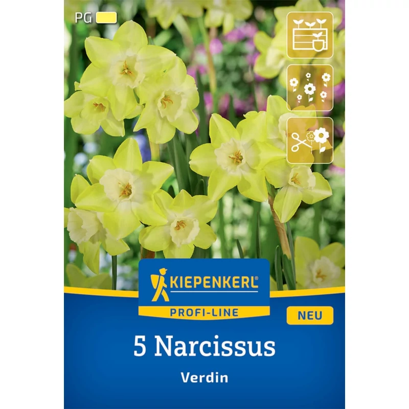 Kiepenkerl Blazing Starlet nárcisz virághagymák