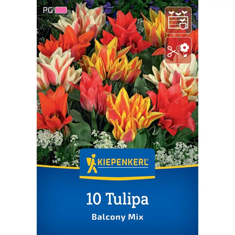 Kiepenkerl balkonzauber mix vegyes csokros tulipán virághagymák