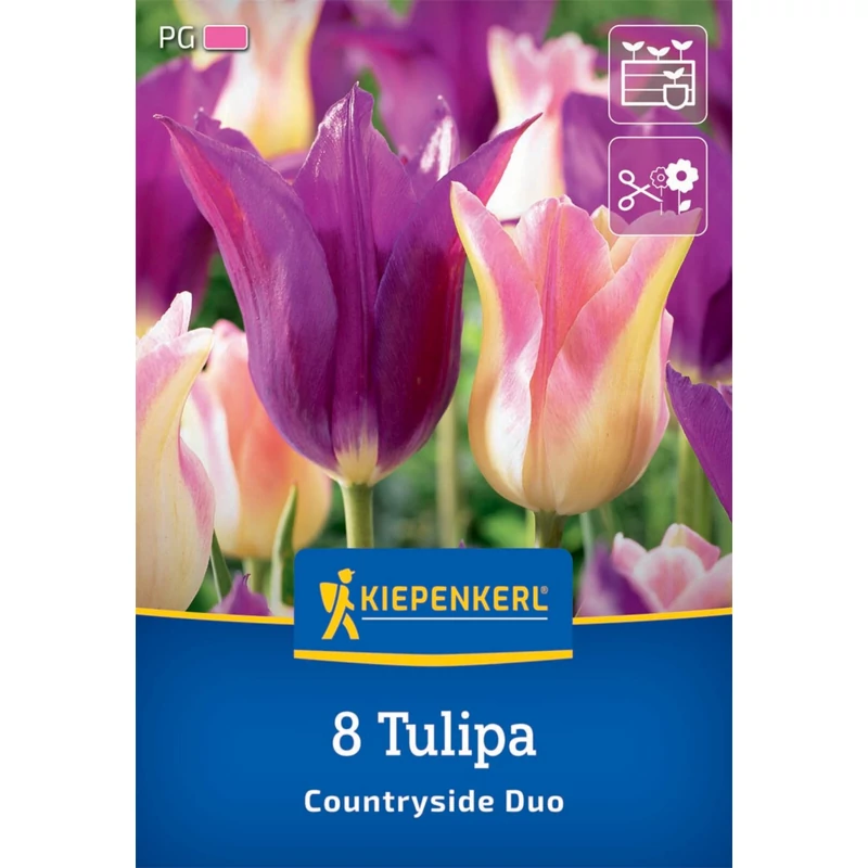 kiepenkerl countryside duo tulipán virághagymák
