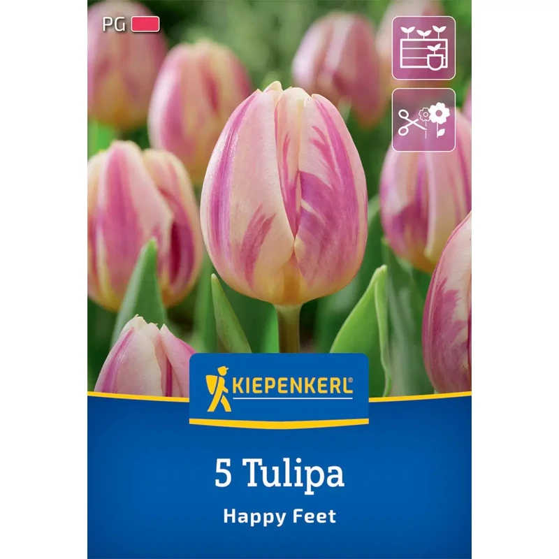 kiepenkerl happy feet tulipán virághagymák