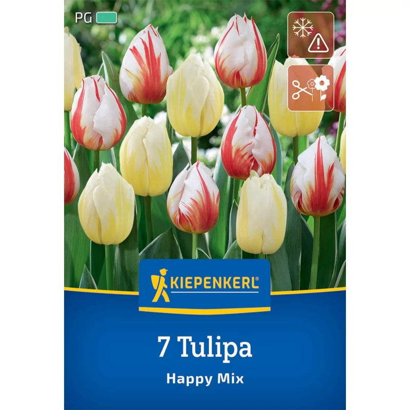 kiepenkerl happy mix vegyes tulipán virághagymák