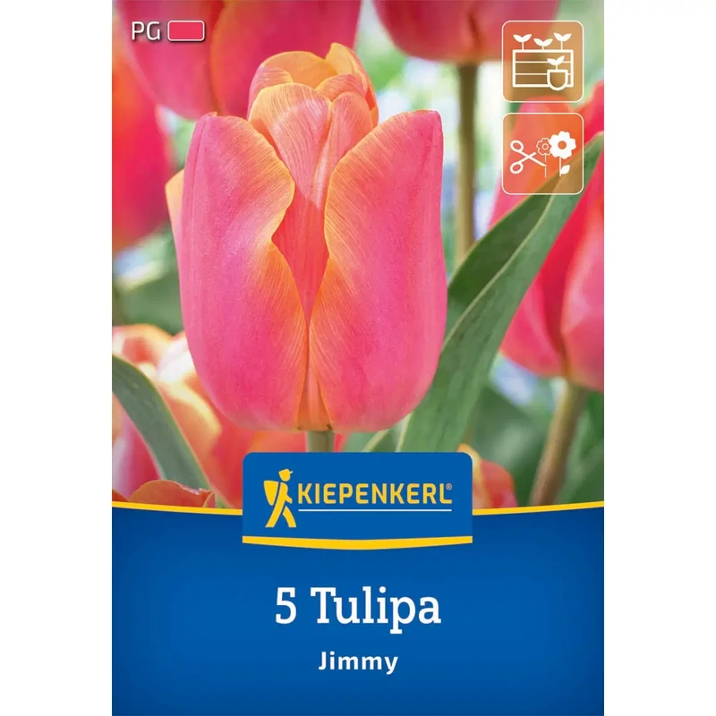 kiepenkerl jimmy triumph tulipán virághagymák